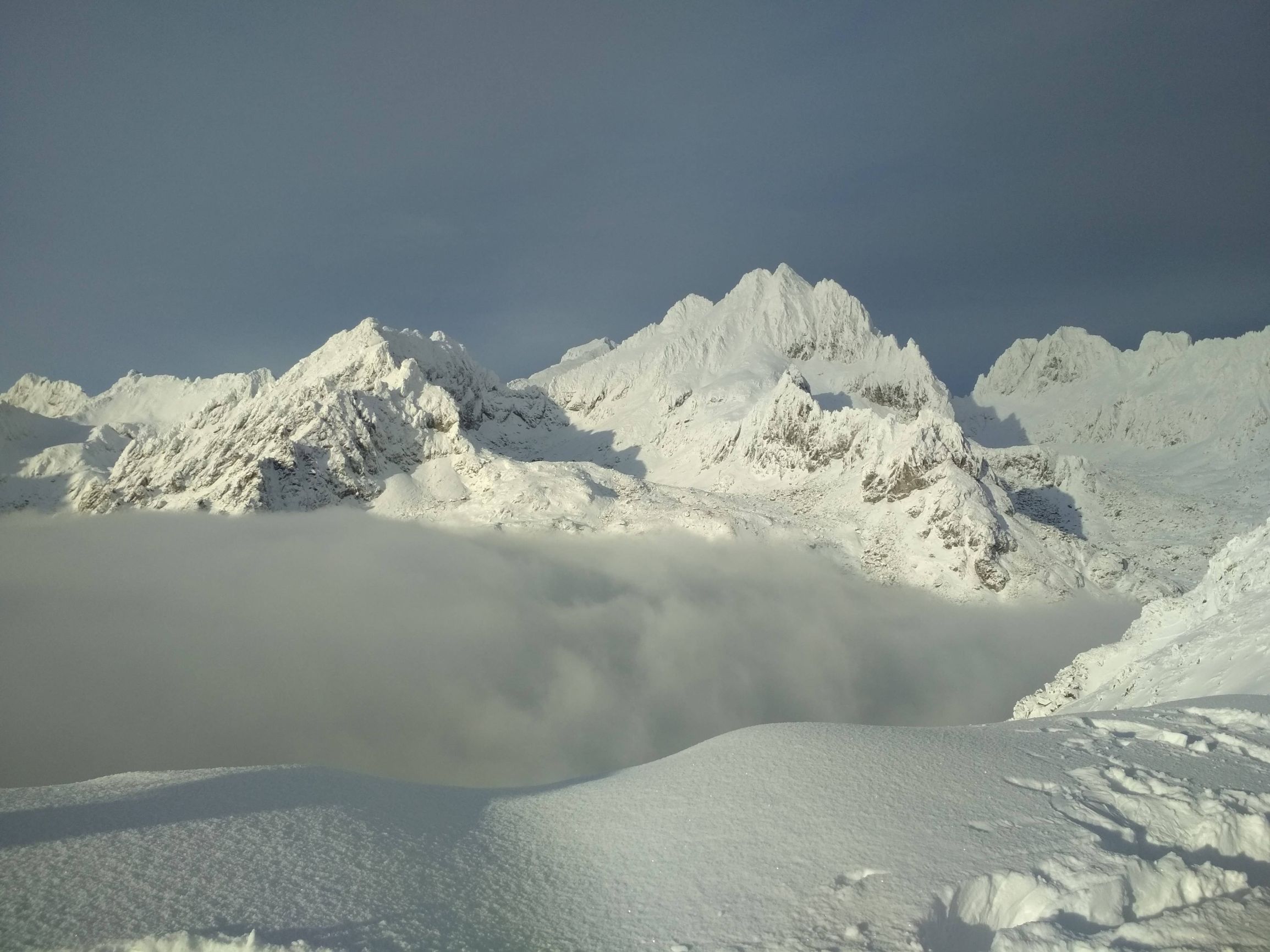 201231_142505.jpg
