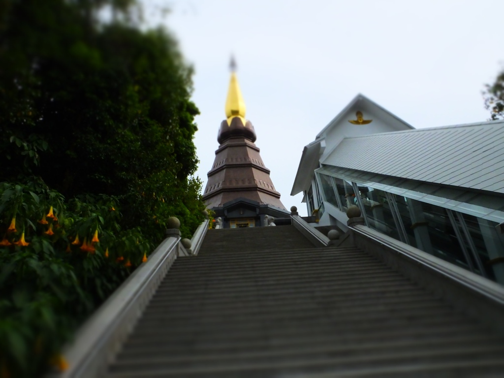 DSCF2981.JPG