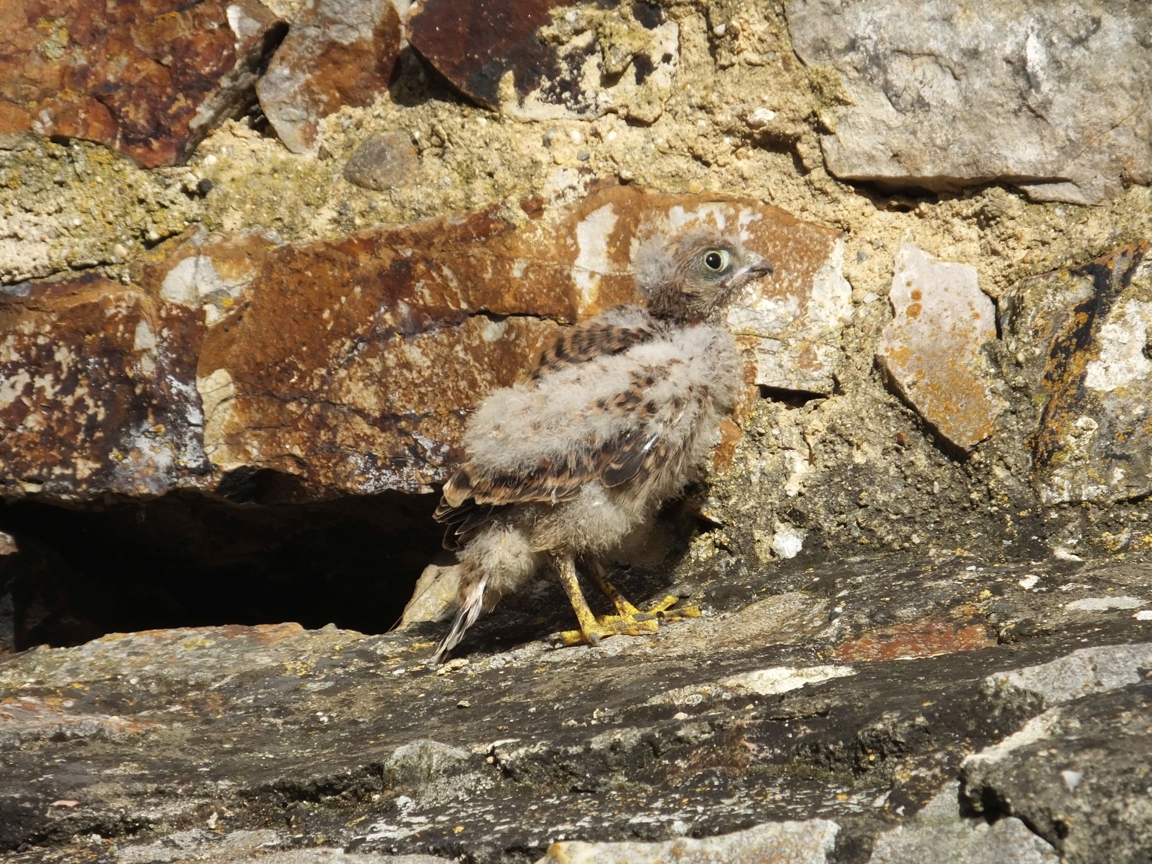 DSCF6791.JPG