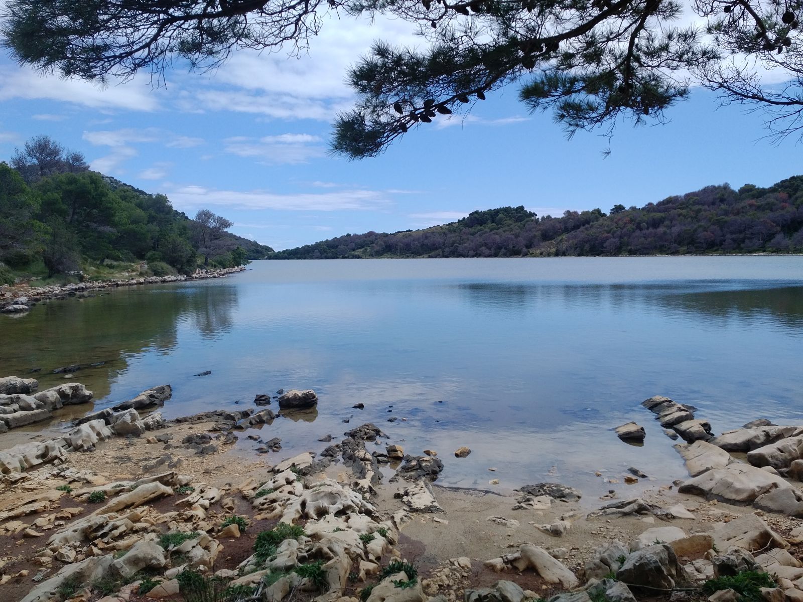 20190530_1442132.jpg